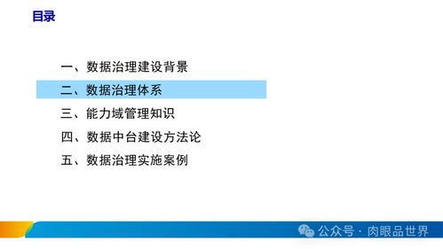 xx集團數據治理體系建設方案 