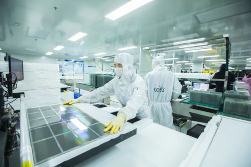 武漢如何當(dāng)好 群主