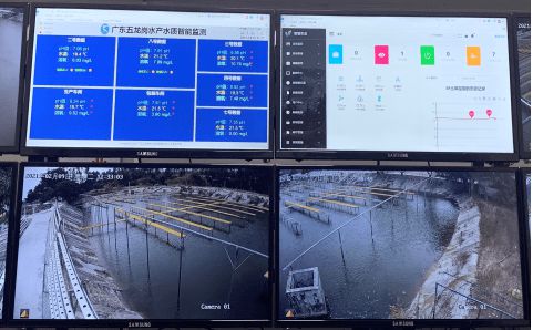 花都推進 科技興漁 探索人工智能 芯片魚 等智慧漁業
